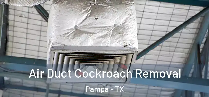  Air Duct Cockroach Removal Pampa - TX