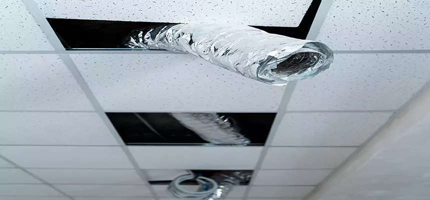 Affordable HVAC Sanitizing After Pest Removal in Pampa