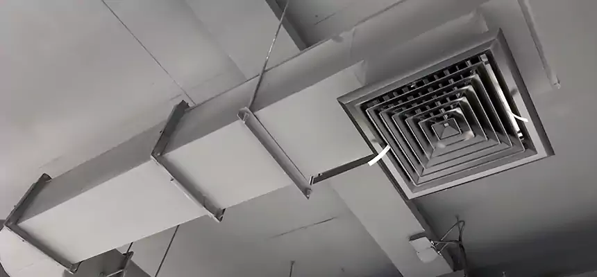 Our Pest Removal From Ducts Services in Pampa, TX