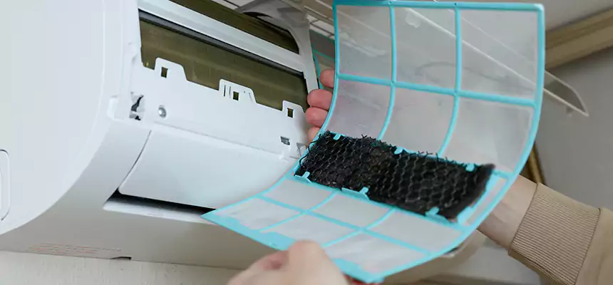 Gentle Ductwork Odor-Control Pet Dander Duct Cleaning in Pampa, TX