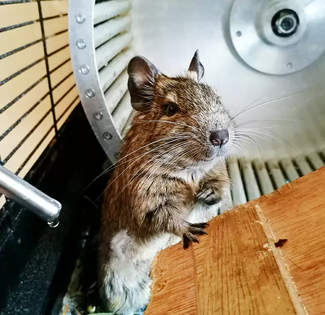 Why Homeowners & Businesses Trust Us Pampa, TX?